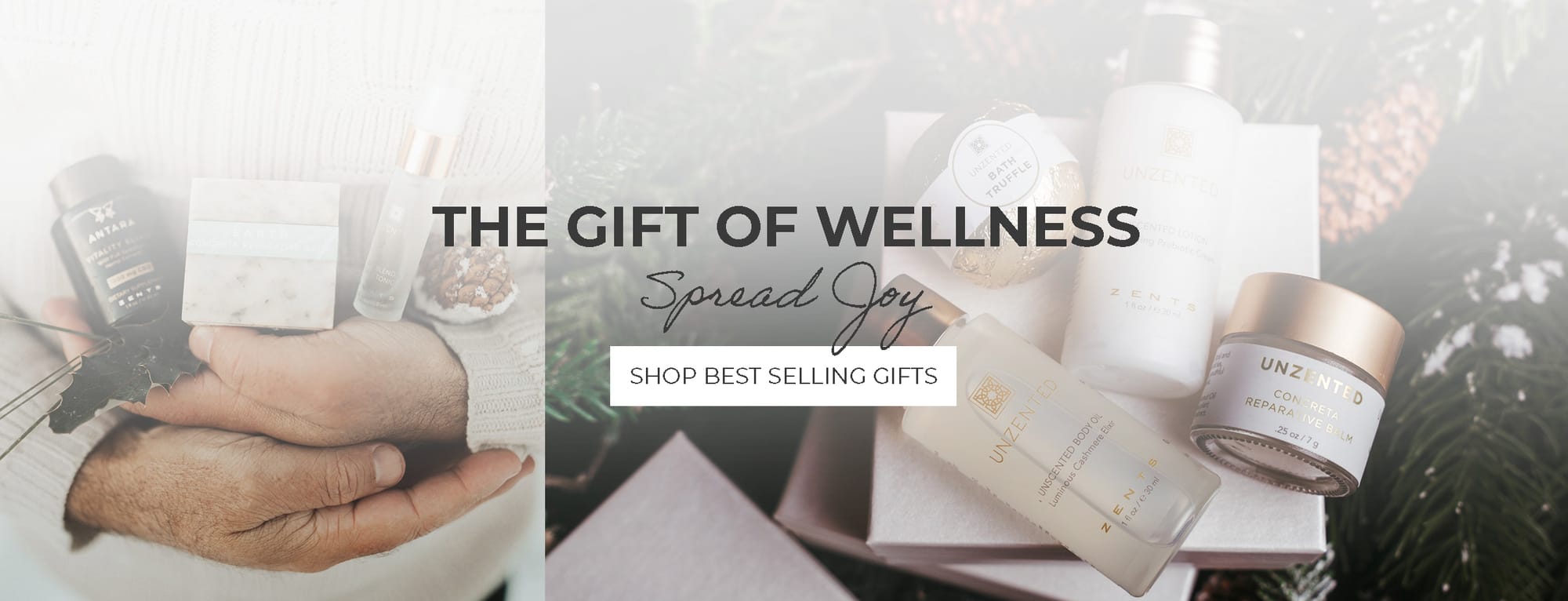 The Art of Giving: A Guide to Why it Feels Good to Gift