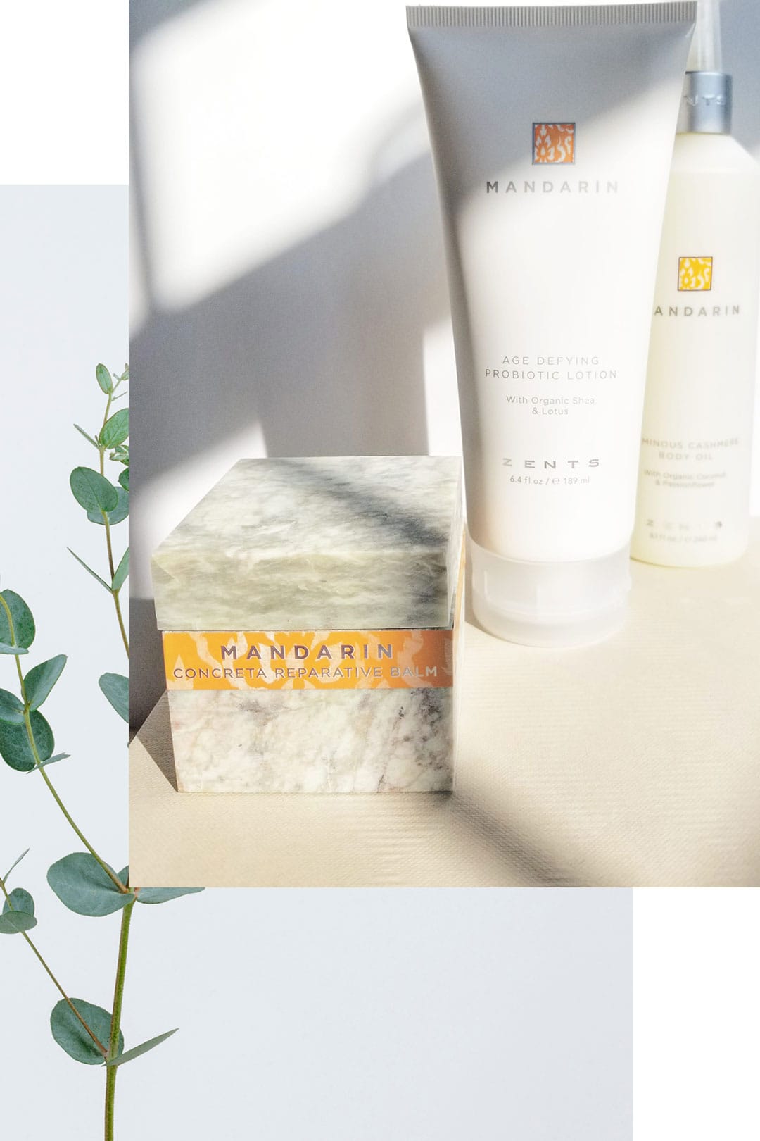 Anti-Aging Skincare: How Probiotics Can Help