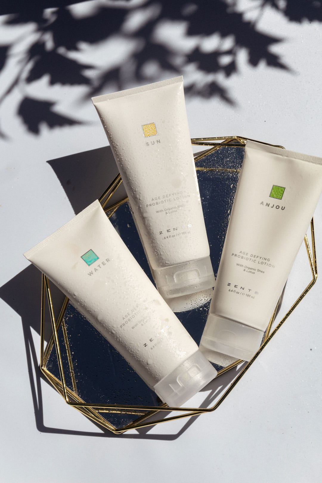 Anti-Aging Skincare: How Probiotics Can Help