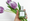 Our Favorite Layered Fragrance Combos for Spring