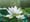 Radical Healing With ZENTS Founder, Cord Coen (Part 1)